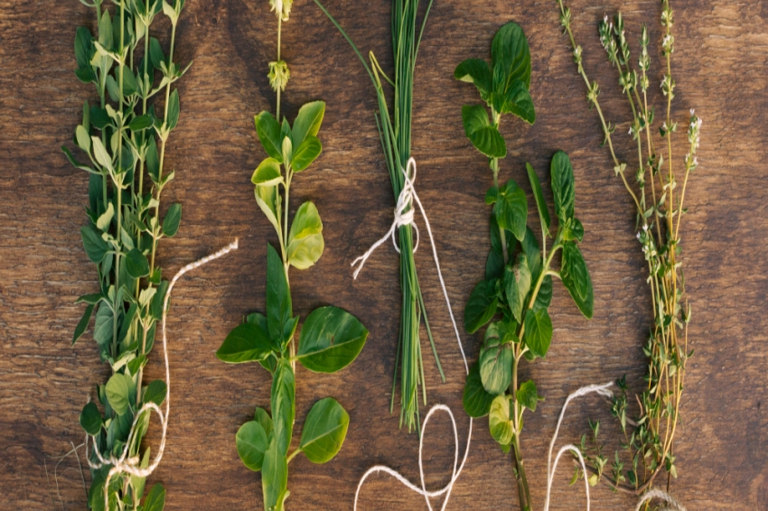 Foire aux herbes médicinales et aux plantes aromatiques dAiguafreda