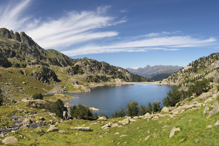 22 de maig, Dia Internacional de la Diversitat Biològica