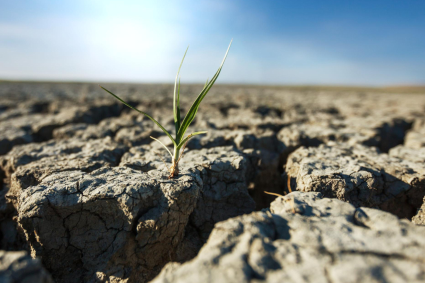 24 de octubre, Día Internacional contra el Cambio Climático