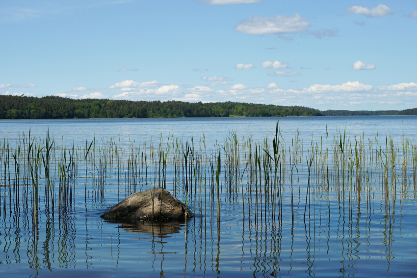 27 dagost, Dia Mundial dels Llacs