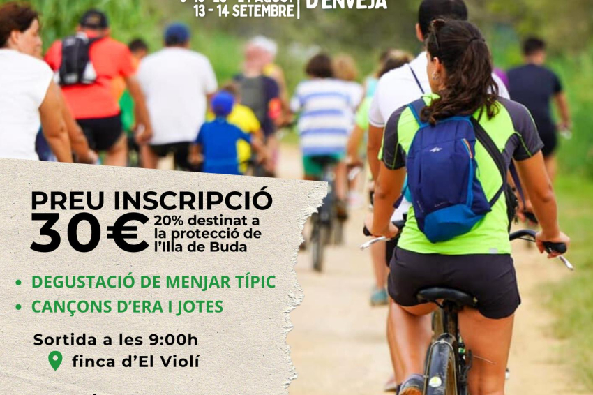 Buda & Bike: Discover Buda Island by pedaling