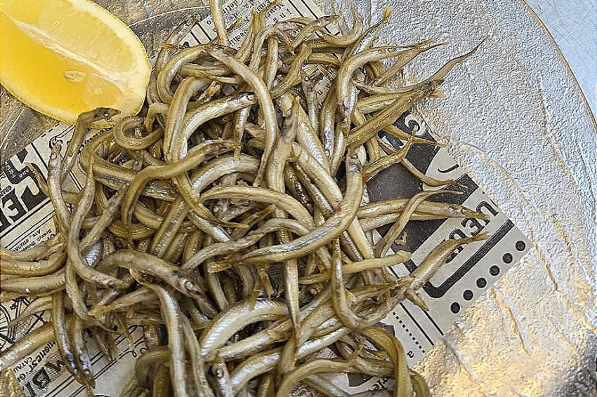 Week-end Sonso de l'Estartit