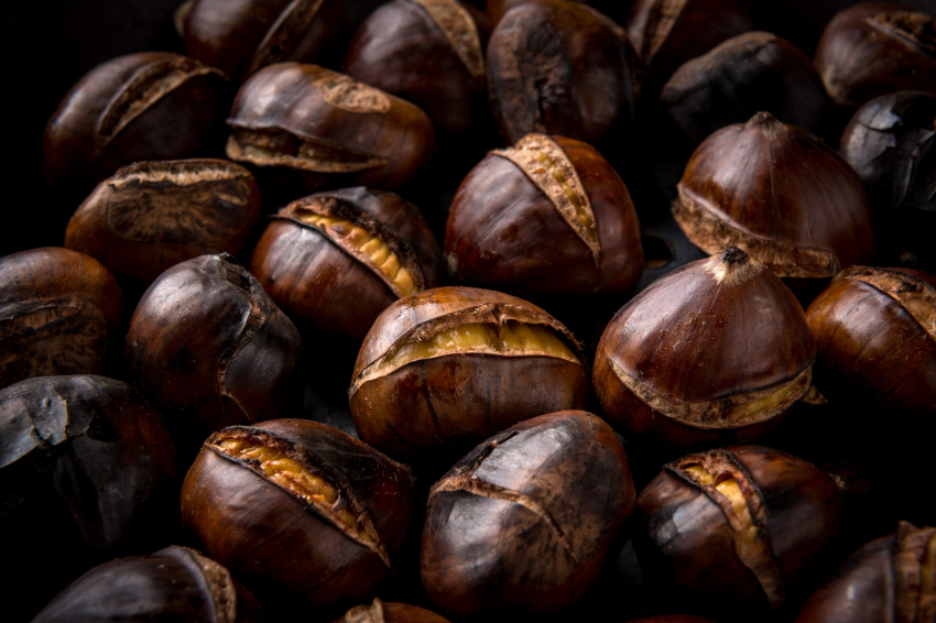 Fête de la châtaigne à Vallgorguina