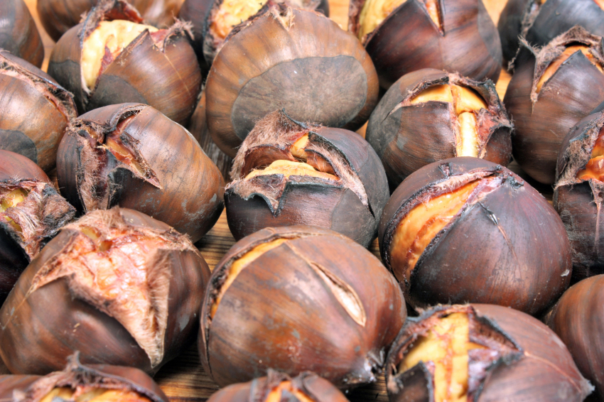 Castanyada Festival al Pla de Santa Maria