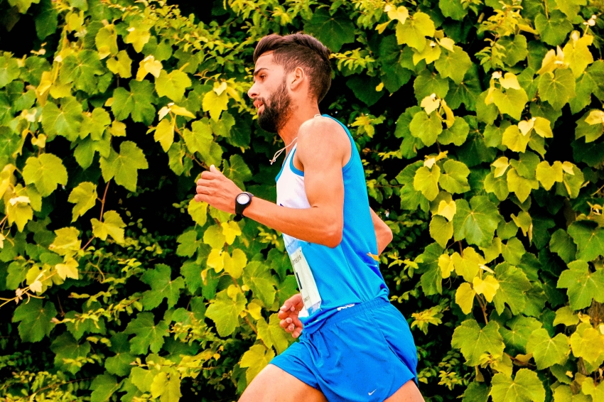 Parcours Mussol à La Palma dEbre