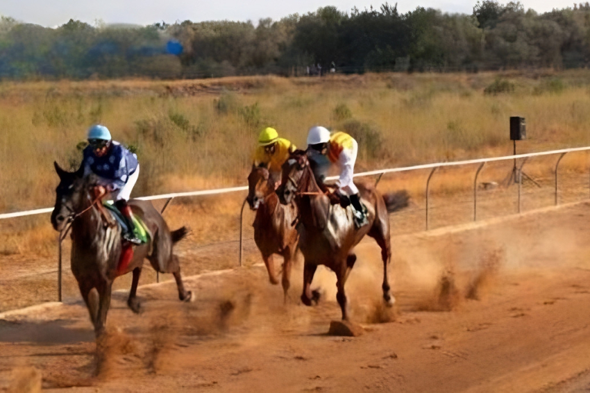 Carreras de caballos y corridas de burros en la Sénia