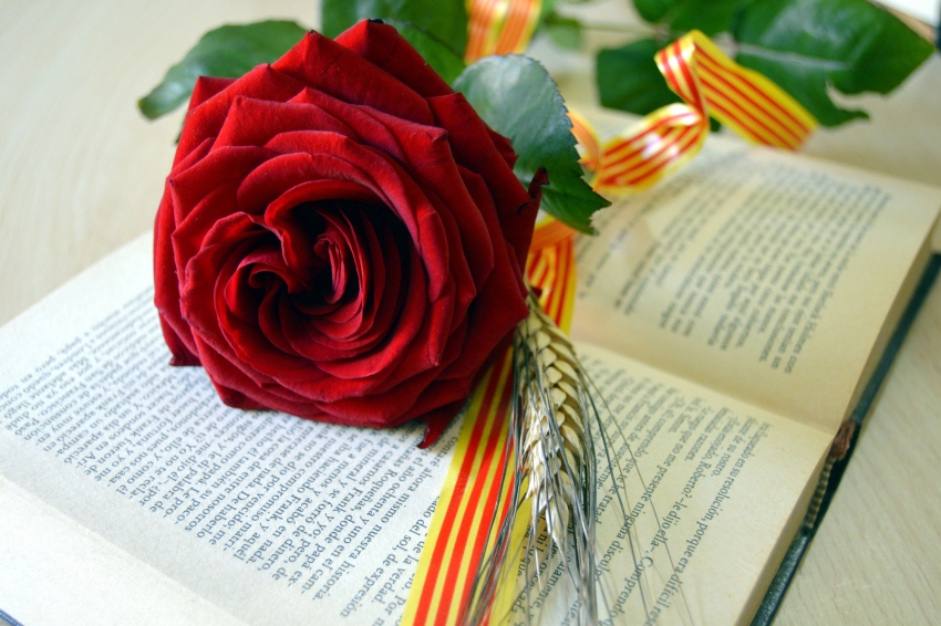 Diada de Sant Jordi a Balaguer