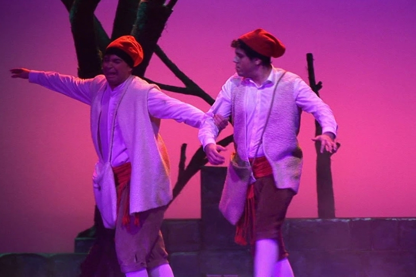 Els Pastorets de Campllong