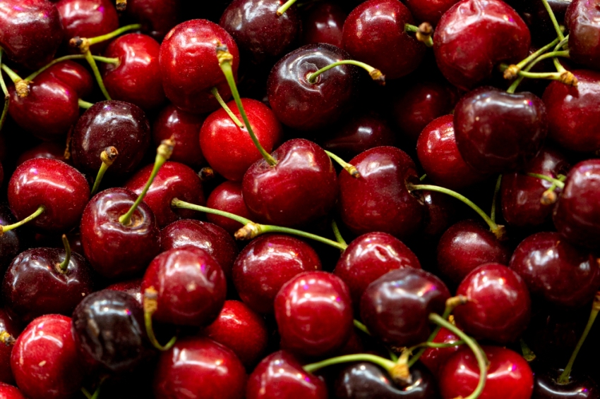 Paüls Cherry Festival