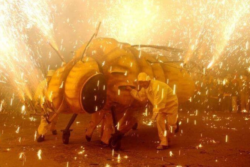 Festa de la Fil·loxera de Sant Sadurní dAnoia