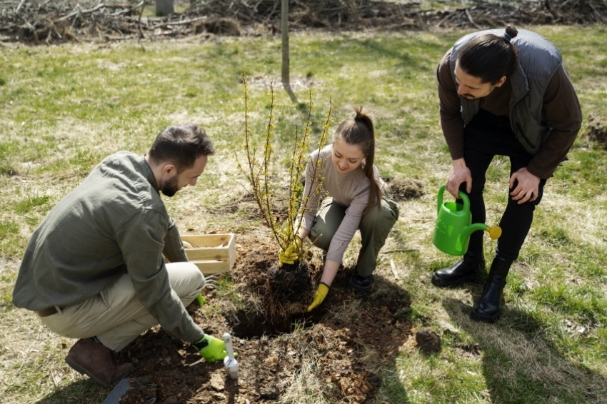 Festa de lArbre a Viladrau