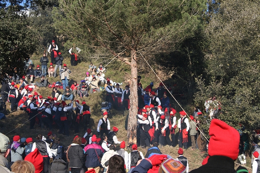 Festa del Pi de Centelles