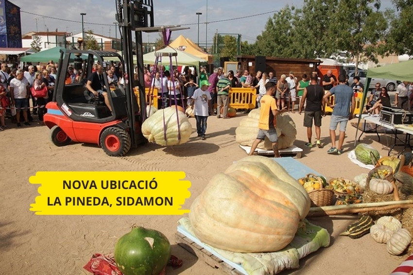 Feria de calabazas gigantes en Sidamon