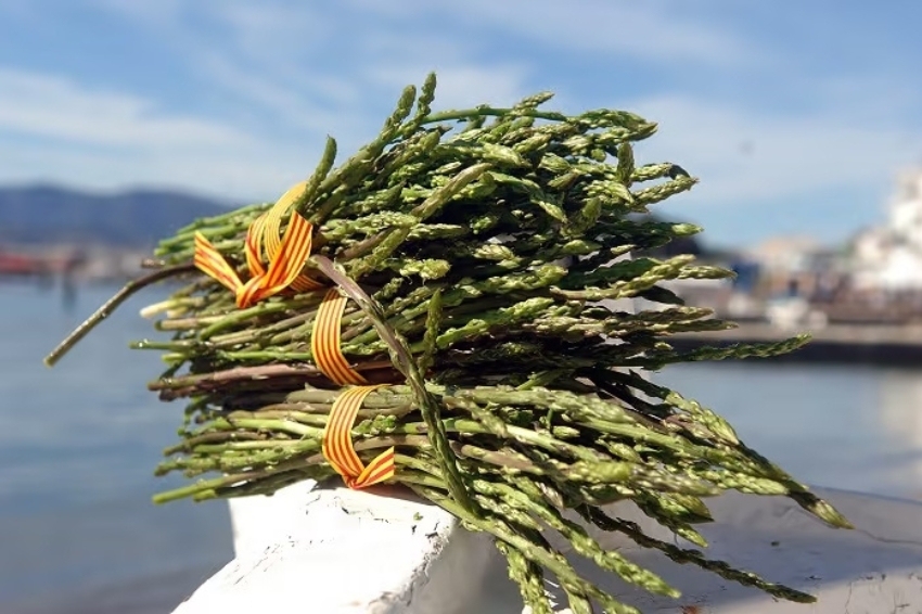 Fira de lEspàrrec i Ruta de Tapes al Port de la Selva