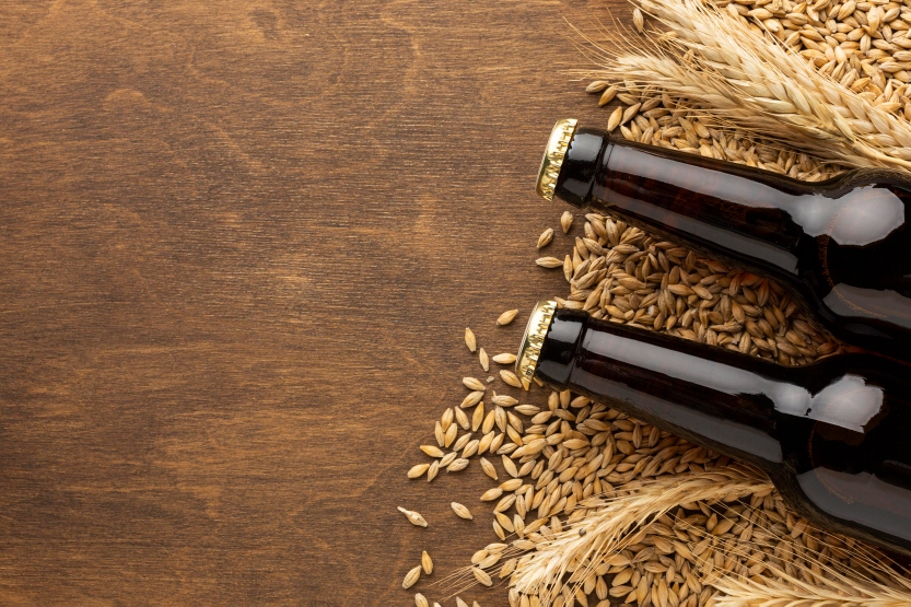 Fira de lOrdi (Foire de lrge) à Ordis