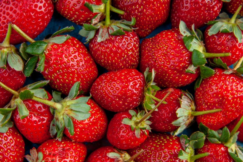 Foire aux fraises de Sant Cebrià de Vallalta