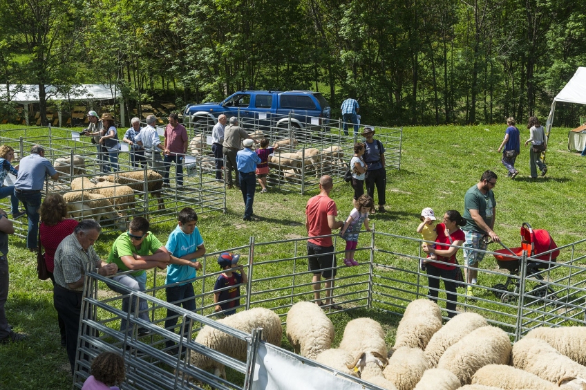 Fair of products from the Alt Pirineu Natural Park and the Ara Sheep