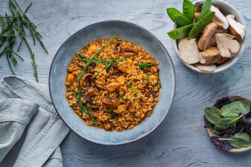 Jornades Gastronòmiques de lArròs del Delta de lEbre