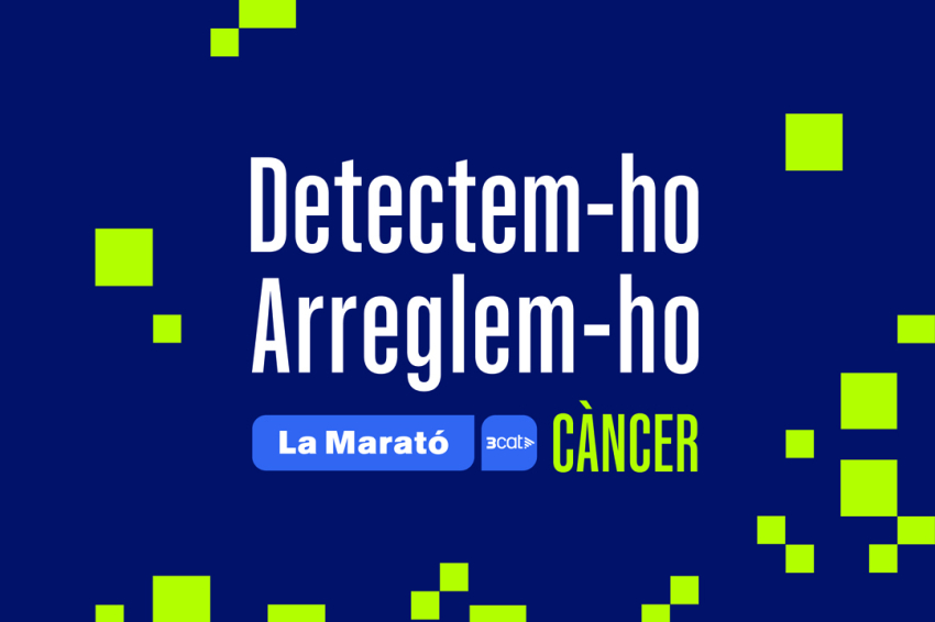 The TV3 Marathon 2025