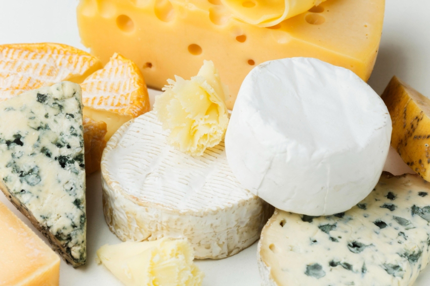 Lactium, Mostra de Formatges Catalans a Vic