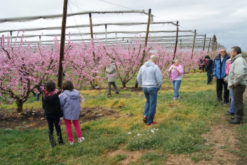 Routes Alcarràs Florit