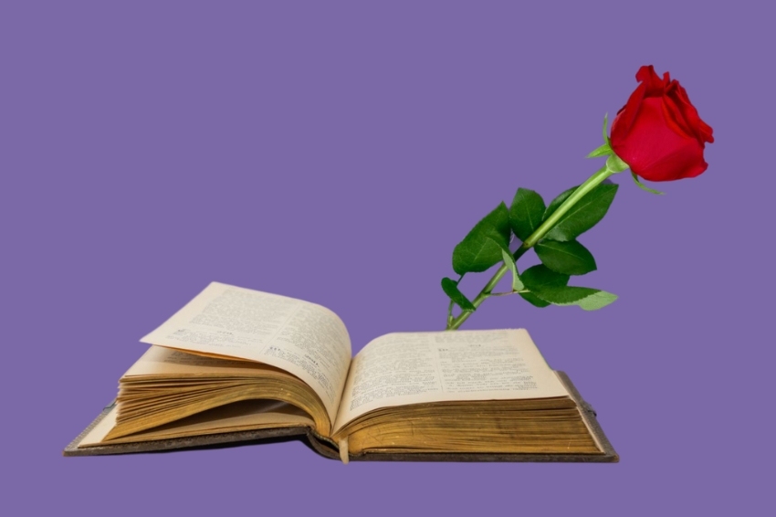 Sant Jordi a Maçanet de Cabrenys