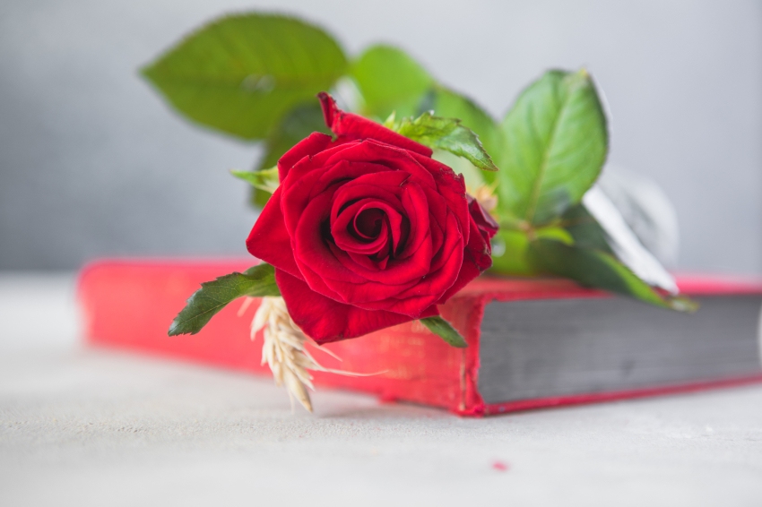 Sant Jordi in Vilallonga del Camp