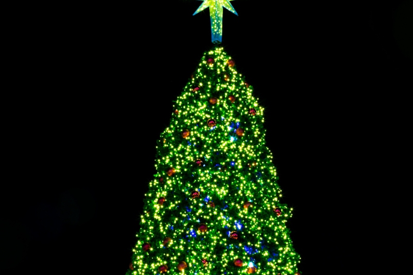 Viu el Nadal a Roses!