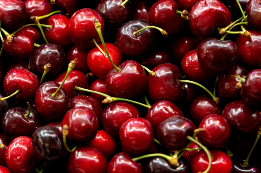 30e Foire aux Cerises et Traditions de Llers