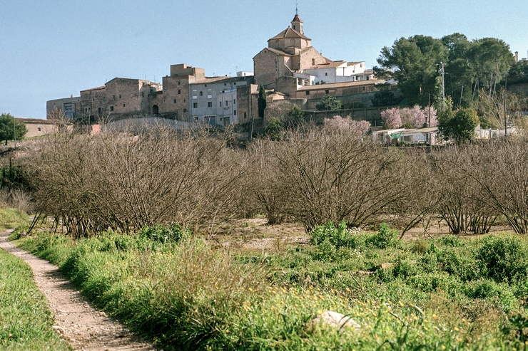 Turisme Alt Camp (Puigpelat)