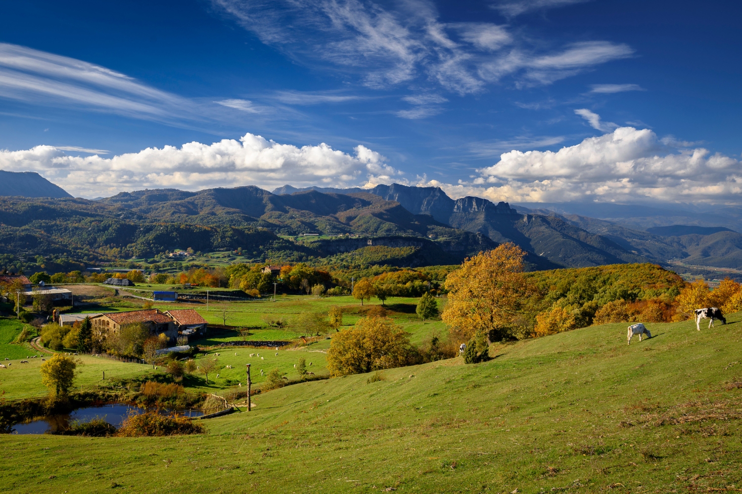 Turisme Garrotxa (Views Of The Puigsacalm And The Meadows And Pastures Near Falgars D En Bas In Autumn Garrotxa Catalonia Spain Pyrenees_049)