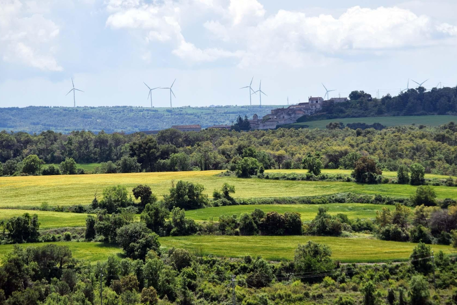 Turisme La Segarra (7971538)