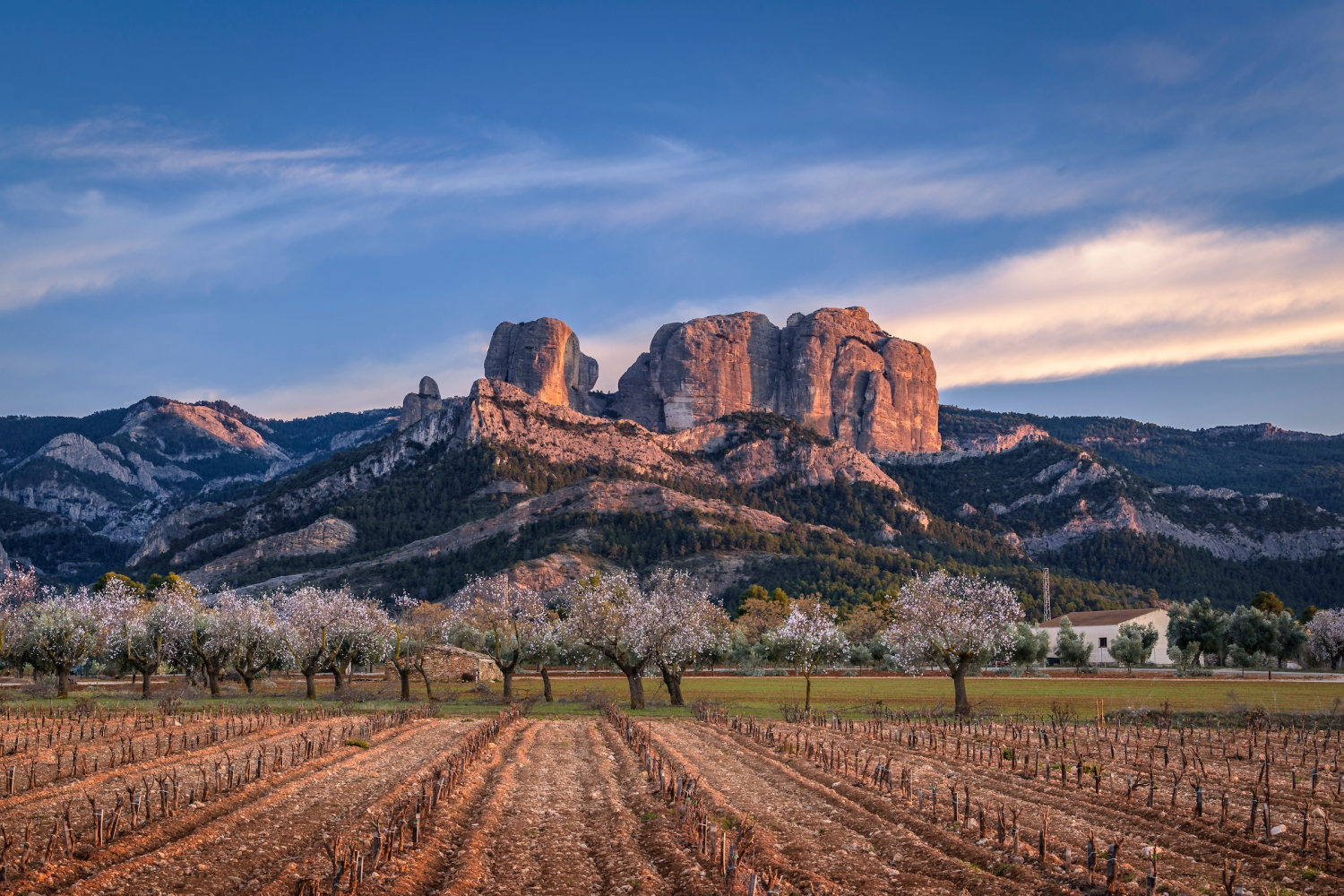 Turisme Terra Alta (Spring Sunset At The Roques De Benet Rocks In Els Ports Natural Park With The Almond Trees In Bloom In The Foreground Terra Alta Tarragona Catalonia Spain_514)