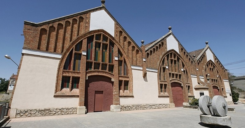 DO Conca de Barberà: vins amb història al cor de Catalunya