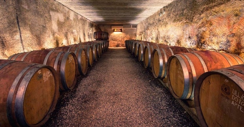 DO Tarragona: vins mediterranis amb història i tradició viva