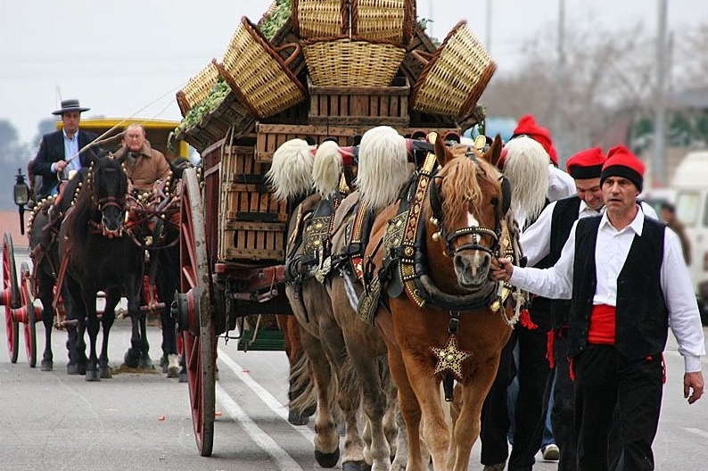 Festes de Sant Antoni Abat i dels Tres Tombs 2026