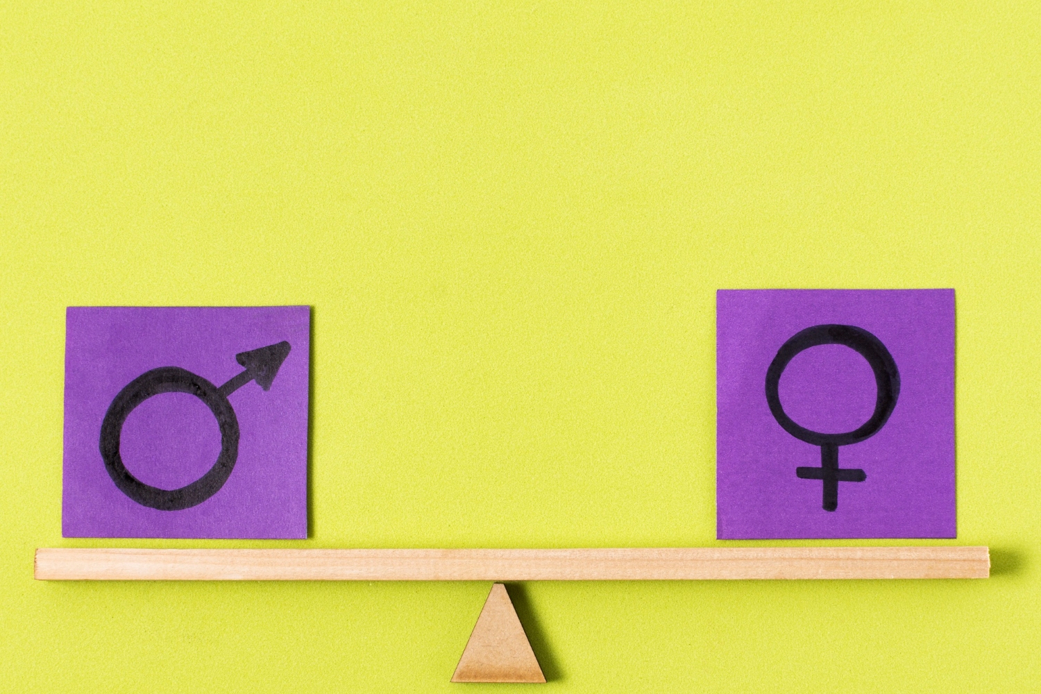 Municipis de Catalunya amb el distintiu per la Igualtat de Gènere, SG CITY 50-50