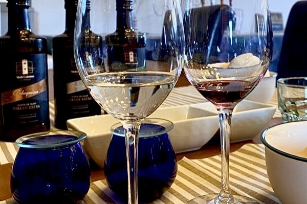 Visit Terrae: Oil and wine tasting at Bodegas Sumarroca