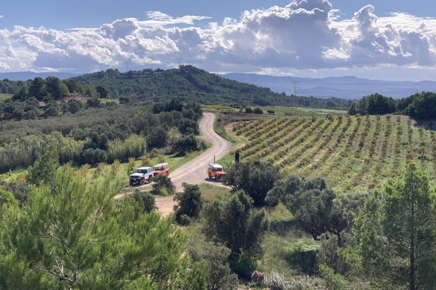 Ruta en 4x4 descapotable i tast de vins amb Stress & Adrenalina