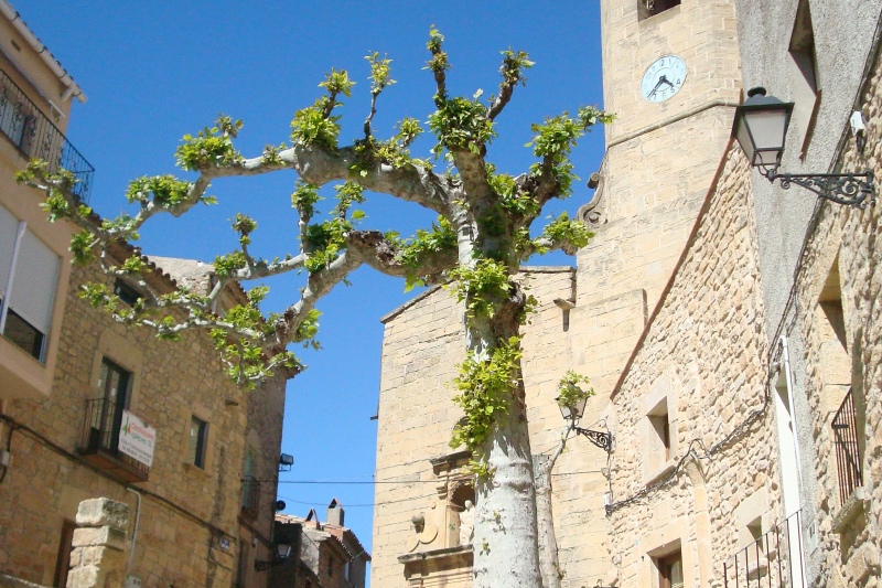 El Vilosell (Vilosell)