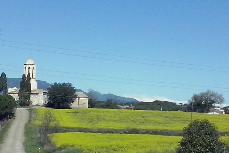 Sils (Sta Eulalia De Vallcanera)