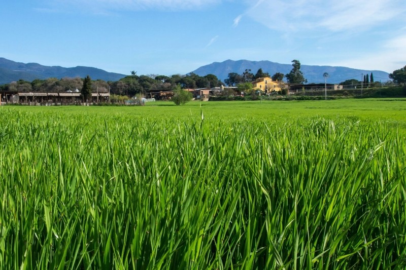 Sant Antoni de Vilamajor (Sant Antoni De Vilamajor)