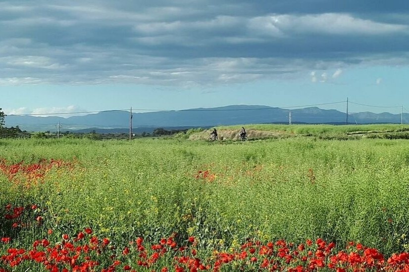 The Greenway of Guissona