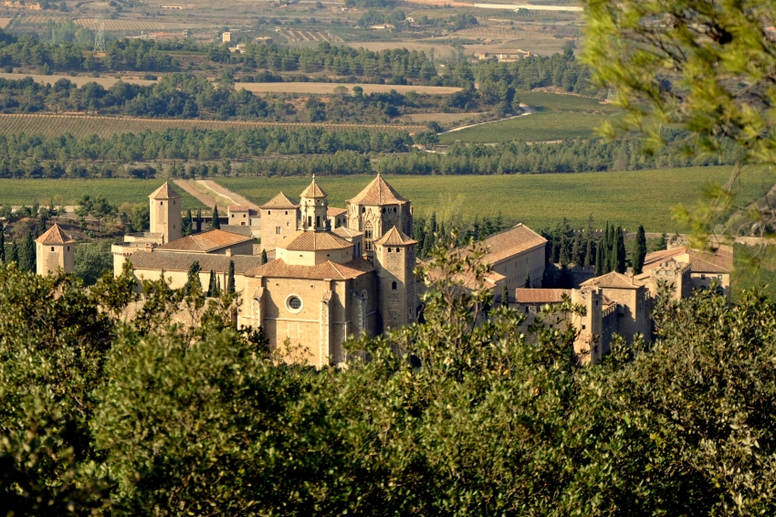 Ruta del Cister: El Monestir de Poblet, història i actualitat