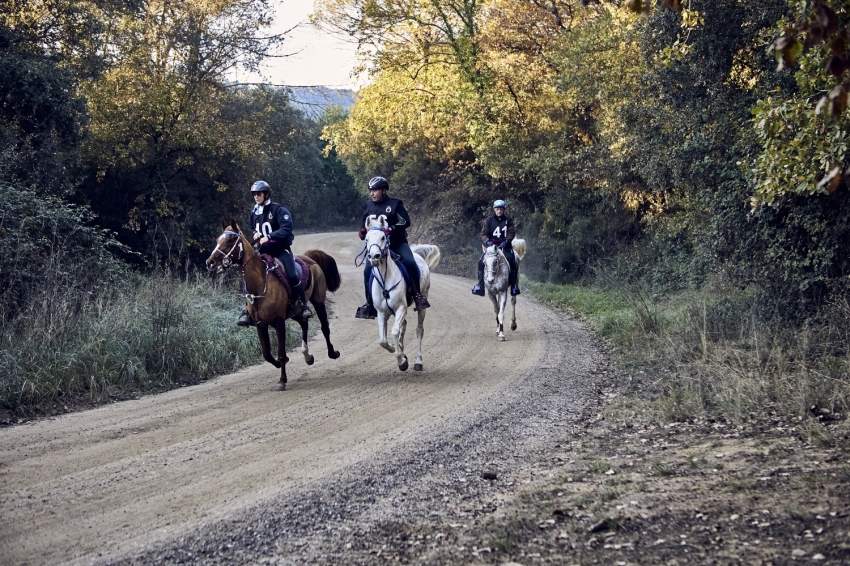 International Equestrian Raid in Santa Susanna (_30A8026)