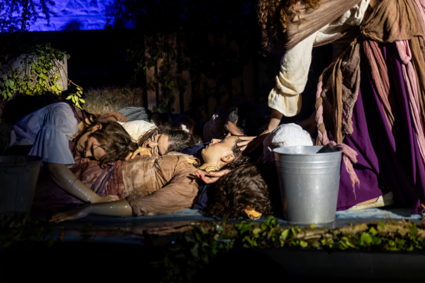 Fes-ta Bruixa (Witches Festival) in Sant Feliu Sasserra (54116862753_d29b939422_k)