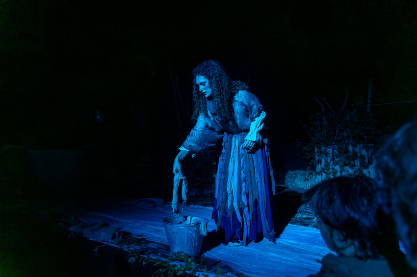 Fes-ta Bruixa (Witches Festival) in Sant Feliu Sasserra (54116863938_95254665ed_k 1)