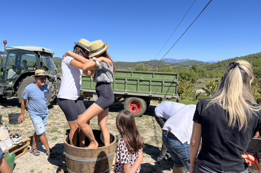 Torna la Verema del Cava! (Lvdc 9)