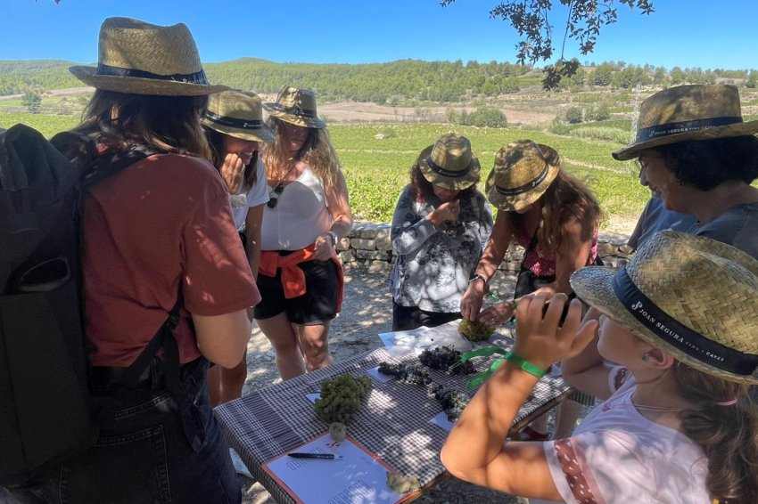 Torna la Verema del Cava! (Lvdc 10)