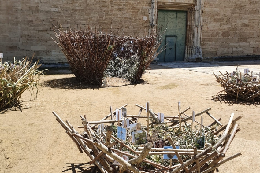 È bo, è mel et exposition de fleurs à Banyoles (Parroquia._._)
